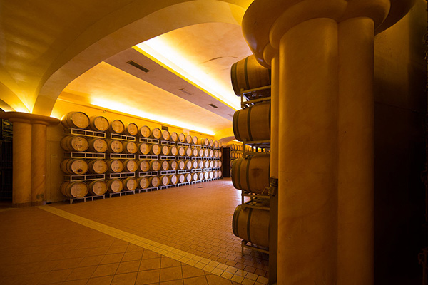 cantina azienda Tolaini