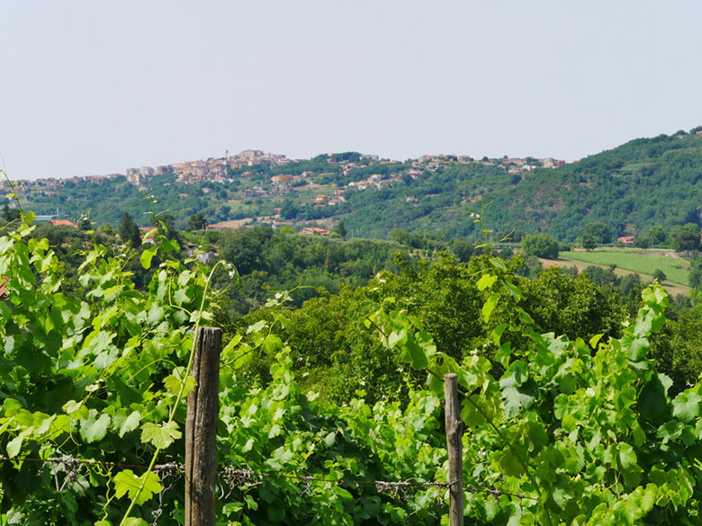 Il territorio irpino