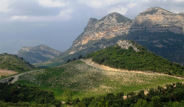 Domaine Gentile, panorama