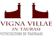 Vigna Villae in Taurasi