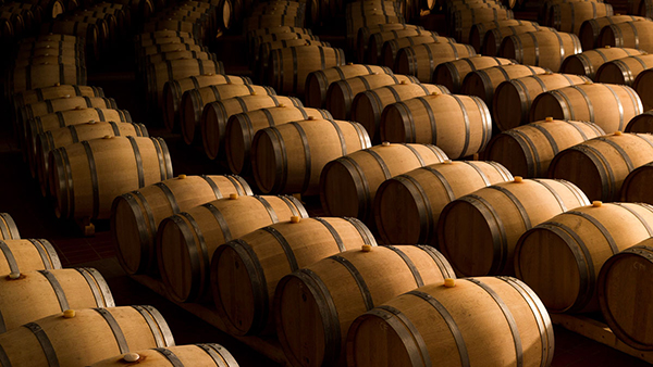 Monte delle Vigne barricaia