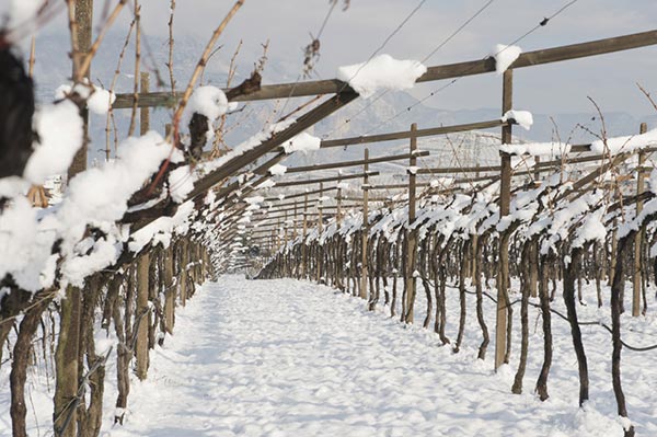 Maso del Diaol innevato