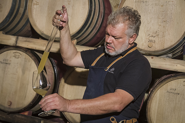 Giorgio Anselmet in cantina