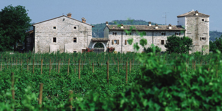 Le Fraghe