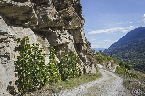 Pareti di roccia tra le vigne di Villeneuve