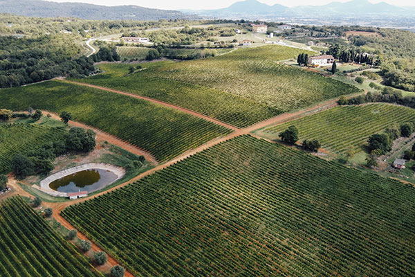 Il paesaggio della Tenuta Cicogna