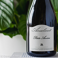 Vallée d'Aoste Petite Arvine 2019 Anselmet