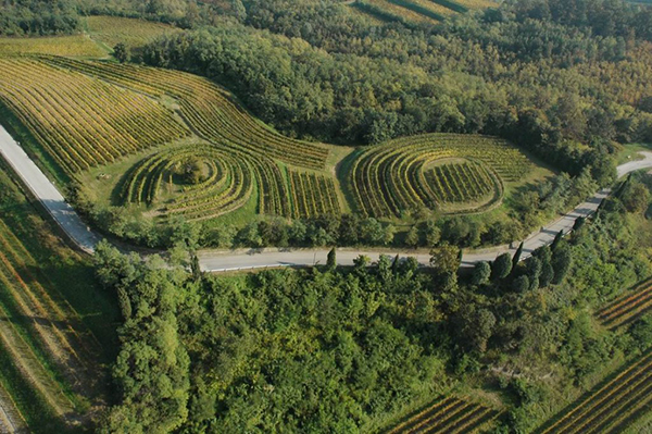 Conte D'Attimis Maniago