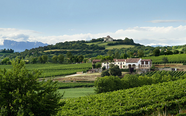 Azienda Agricola Inama