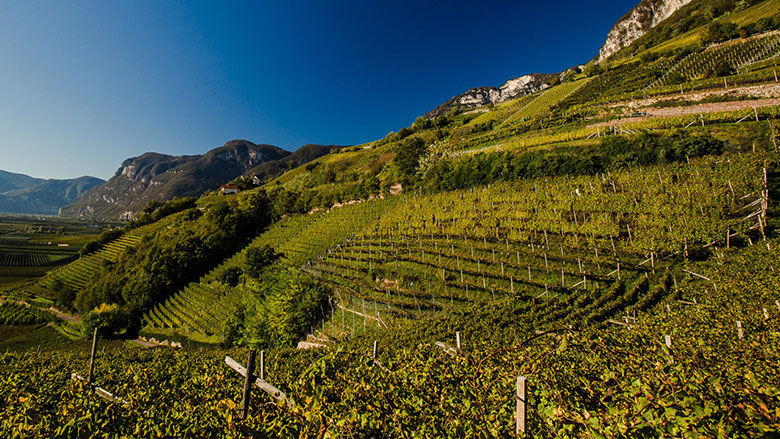 Veduta sulla UGA Brenntal