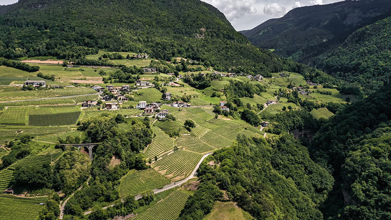 UGA Glen