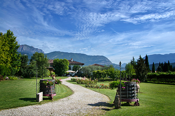 Il vialetto che conduce alla cantina