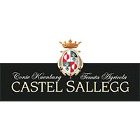 Logo Castel Sallegg