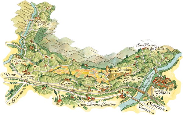 Ronco Blanchis vigneti