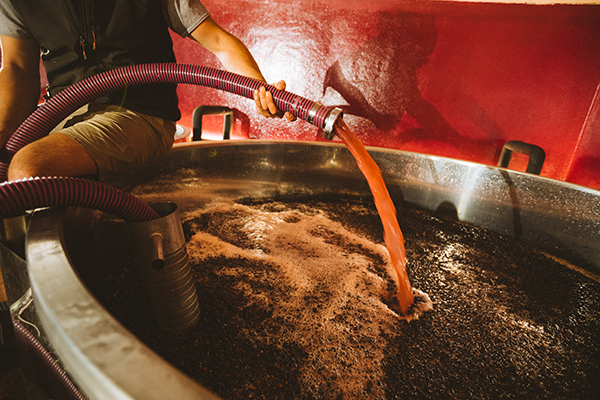 Ottin vendemmia 2020