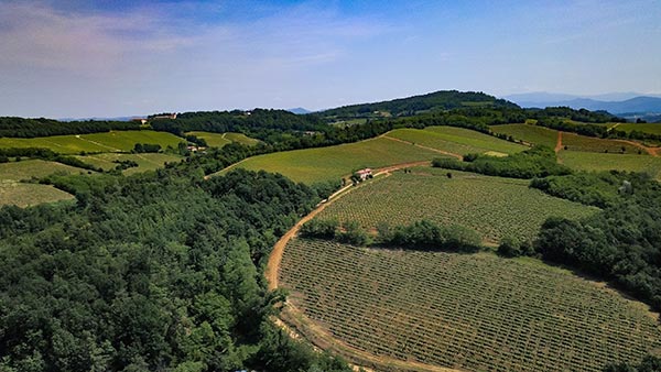Tenuta La Giustiniana Rovereto di Gavi