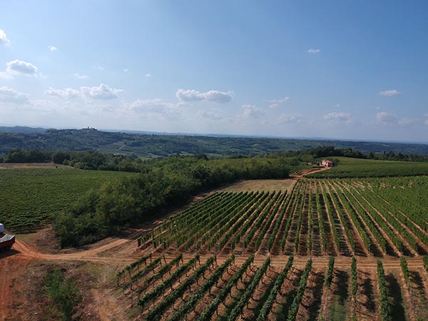 Tenuta La Giustiniana Rovereto di Gavi