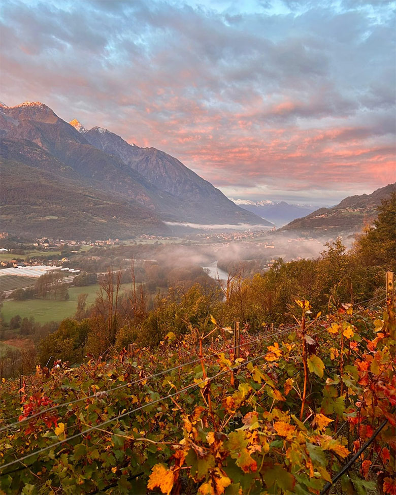 Vigneti La Crotta di Vegneron