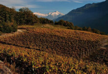 Vigneti La Crotta di Vegneron