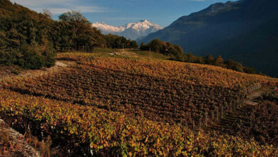 Vigneti La Crotta di Vegneron