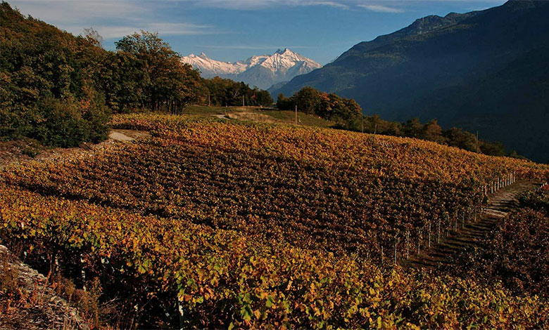 Vigneti La Crotta di Vegneron