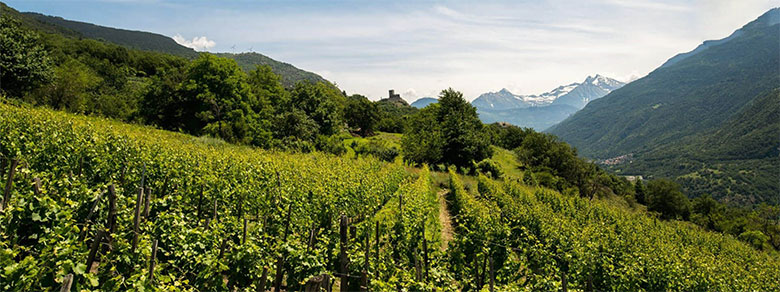 Vigneti La Crotta di Vegneron