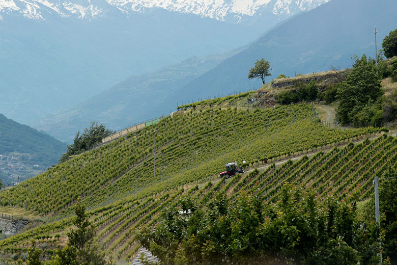 Vigneti La Crotta di Vegneron