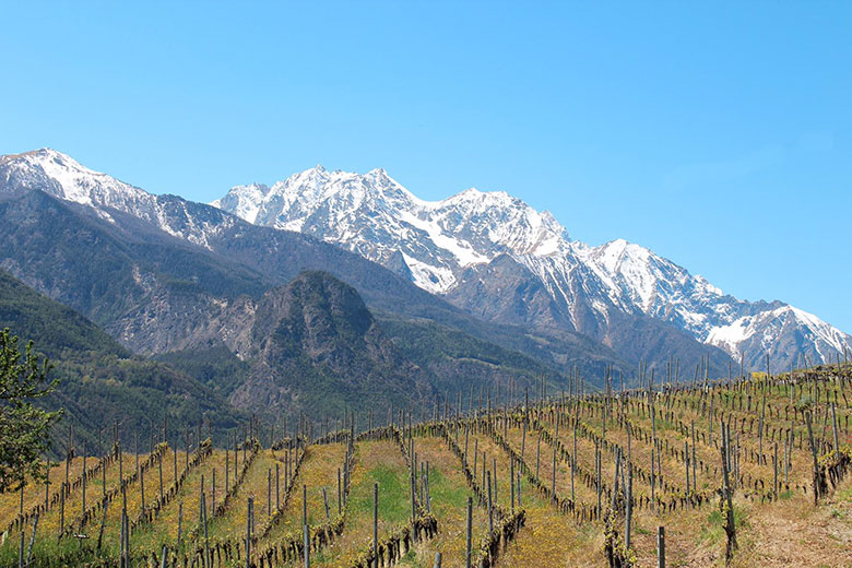 Vigneti La Crotta di Vegneron
