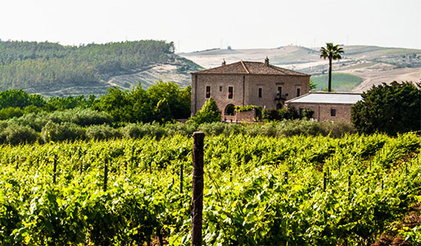 Tenuta Cuffaro