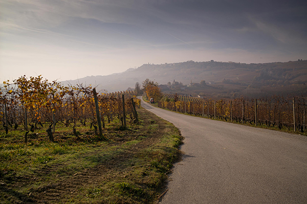 Sentiero tra i vigneti a La Morra