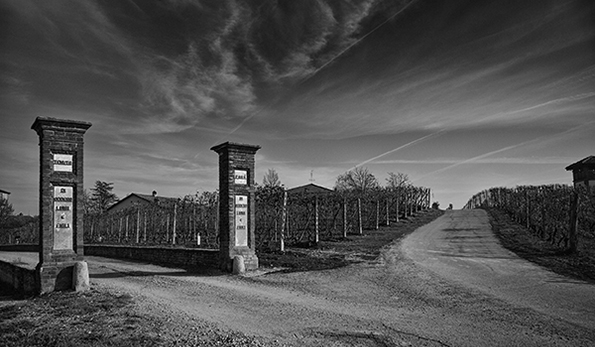 Vigneti Figli Luigi Oddero a La Morra