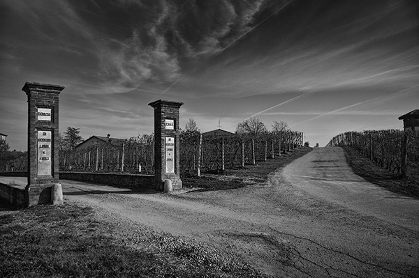 Vigneti Figli Luigi Oddero a La Morra