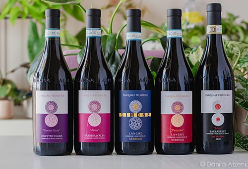 Vini Pasquale Pelissero