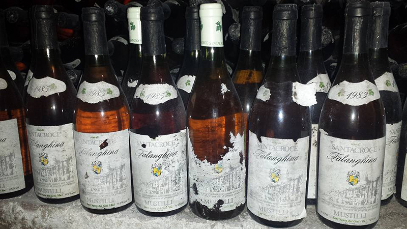 Vini Cantine Mustilli