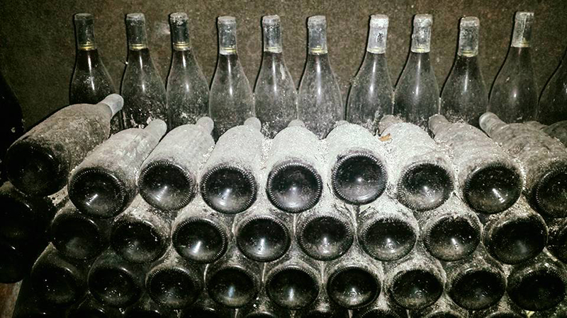 Bottiglie Storiche Mustilli