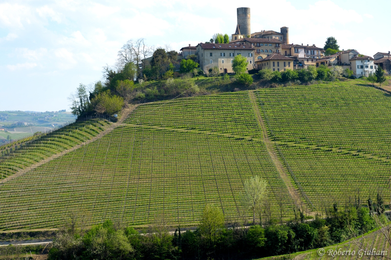Il castello di Perno