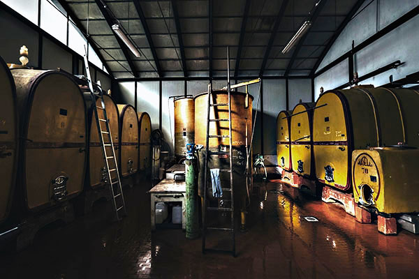 Vasche in cemento azienda Lodi Corazza