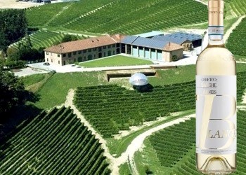 Langhe Arneis Blangé Ceretto