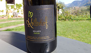 Vigneti delle Dolomiti Cucol 2016 Kollerhof