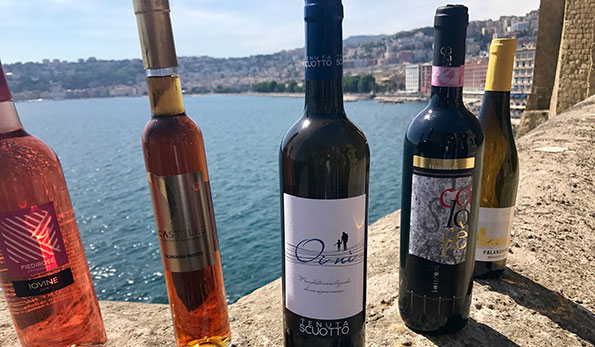 Vini premiati al Napoli Wine Challenge