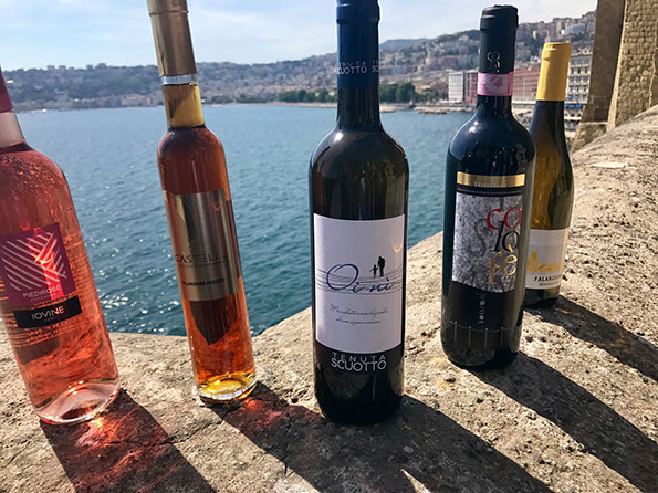 Vini premiati a Vitigno Italia