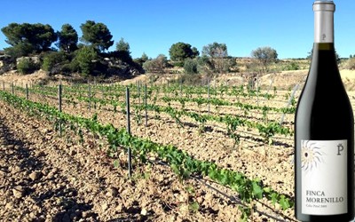 Finca Morenillo 2012