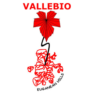Logo Vallebio