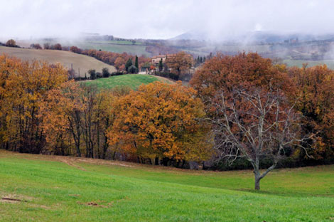 Paesaggio a Montepulciano