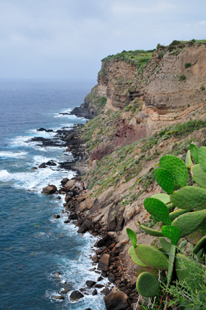 Scogliera a Ventotene