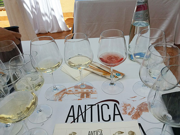 Degustazione vini Antica Hirpinia