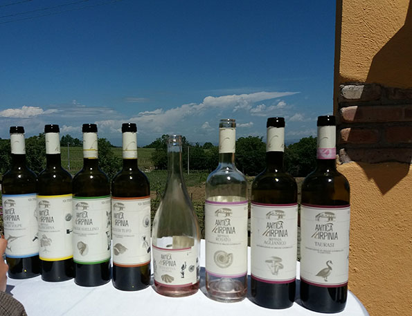 Vini Antica Hirpinia