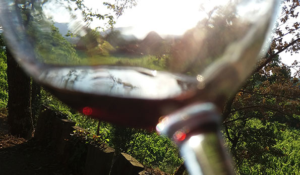 Rampaniuci nel calice