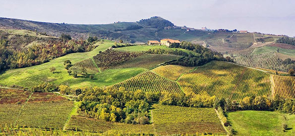 Vigneti Conte Vistarino