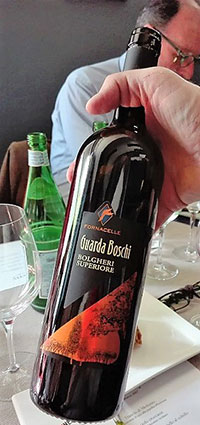 Bolgheri Guarda Boschi